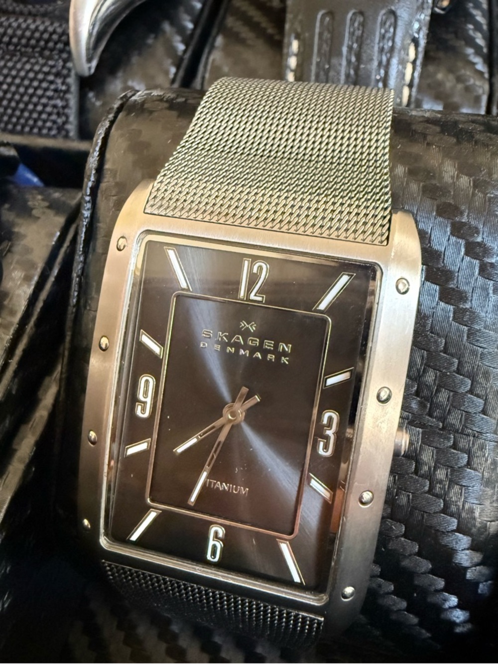 Skagen Silver Stainless Steel Mesh Watch Band with Branded Clasp